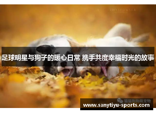 足球明星与狗子的暖心日常 携手共度幸福时光的故事