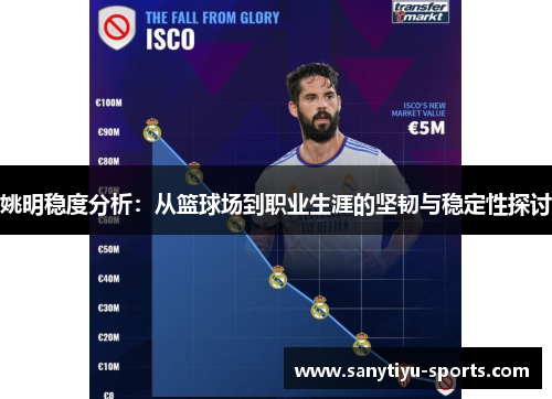 姚明稳度分析：从篮球场到职业生涯的坚韧与稳定性探讨